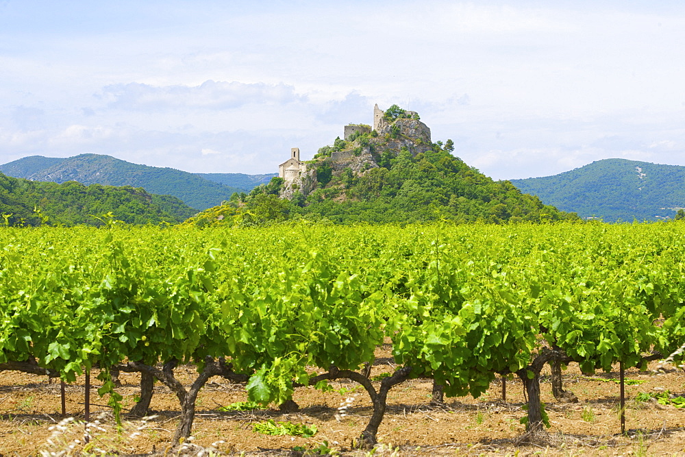 Weinfeld near Entrechaux, castle ruins and church, Provence, southern France, Europe