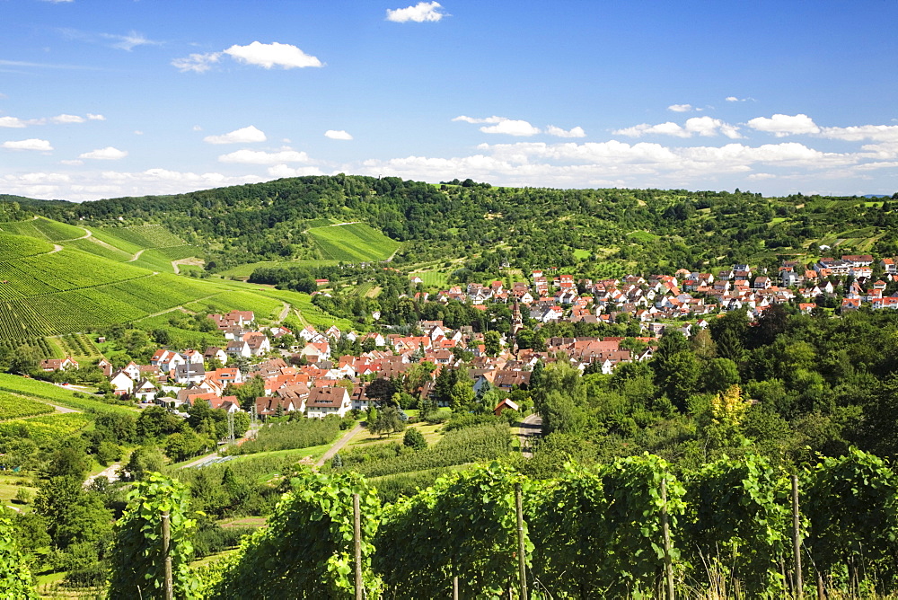 Uhlbach surrounded by vineyards near Stuttgart, Baden-Wuerttemberg, Germany, Europe