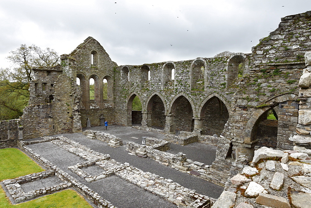 Monastery ruins, Jerpoint Abbey, County Kilkenny, Republic of Ireland, British Isles, Europe