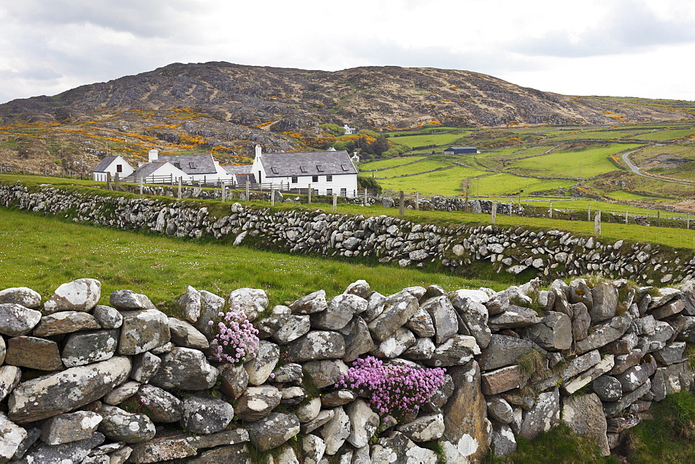 Homestead, Three Castle Head, Mizen Head Peninsula, West Cork, Republic of Ireland, British Isles, Europe