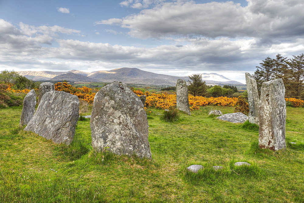 Derreenataggart stone circle, Megaliths, Castletownbere, Beara Peninsula, Cork, Republic of Ireland, British Isles, Europe