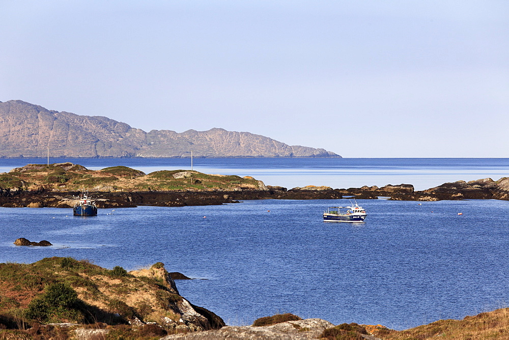 Fishing boats in Ballycrovane Harbour, Eyeries, Beara Peninsula, County Cork, Ireland, British Isles, Europe