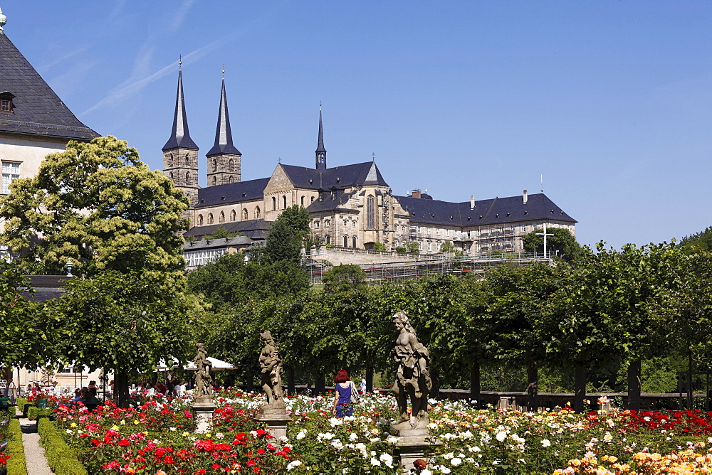 Rose garden of the Neue Residenz, New Residence, church of St. Michael, Bamberg, Upper Franconia, Franconia, Bavaria, Germany, Europe