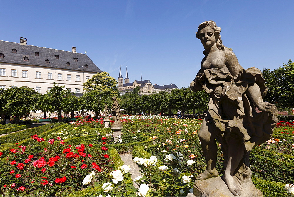 Rose garden of the Neue Residenz, New Residence, church of St. Michael, Bamberg, Upper Franconia, Franconia, Bavaria, Germany, Europe