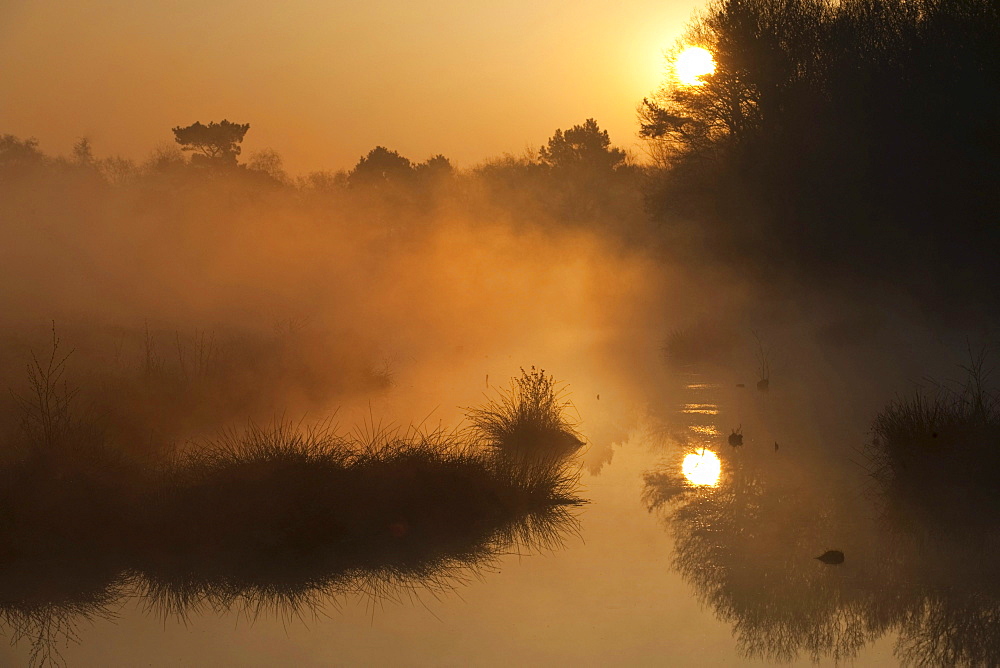 Sunrise in the Venner Moor, Venne, North Rhine-Westphalia, Germany, Europe