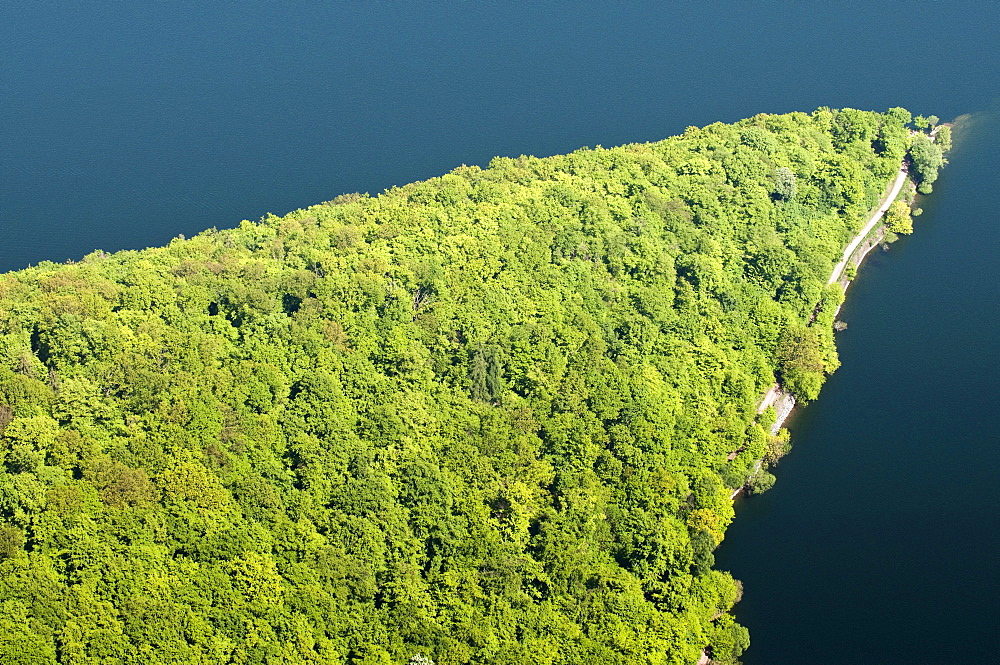 Peninsula, Edersee lake, Kellerwald National Park, North Hesse, Germany, Europe