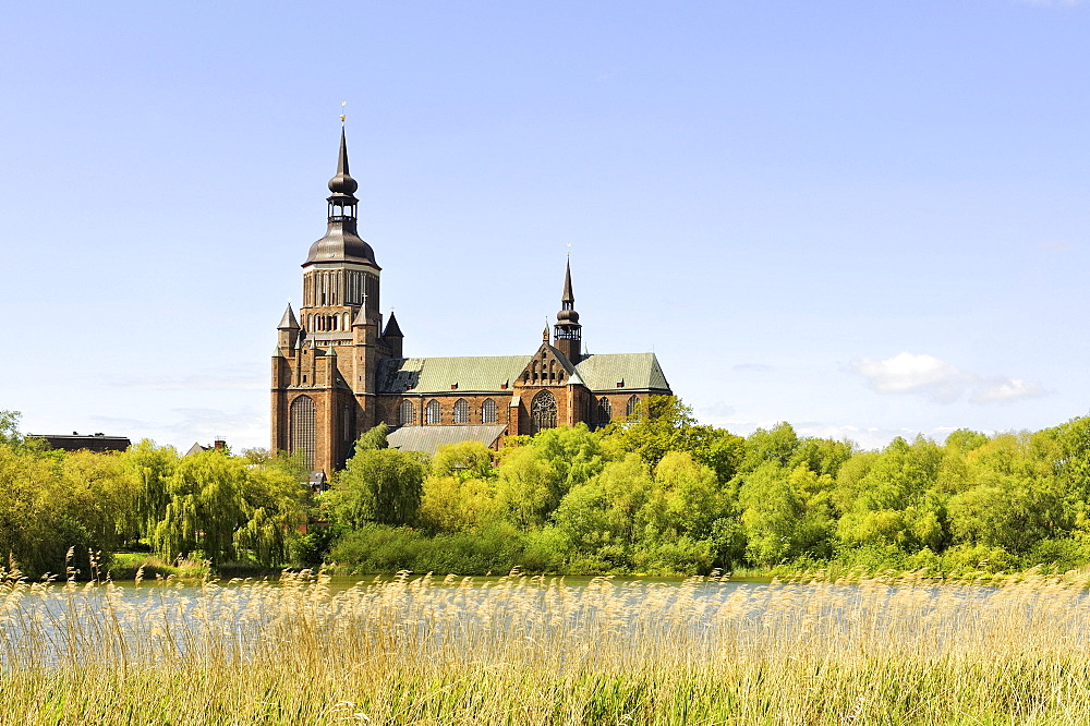 View across the Knieperteich Lake towards Marienkirche Church, Stralsund, Mecklenburg-Western Pomerania, Germany, Europa