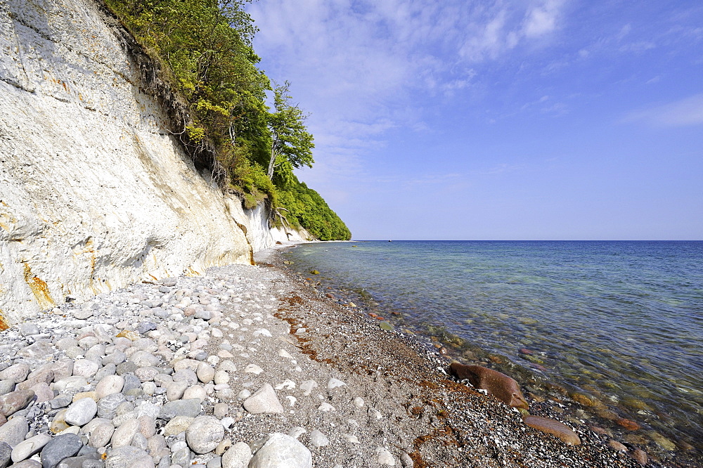 Gravel beach and chalk cliffs on the Baltic Sea, Nationalpark Jasmund national park, Ruegen Baltic Sea island, Mecklenburg-Western Pomerania, Germany Europe