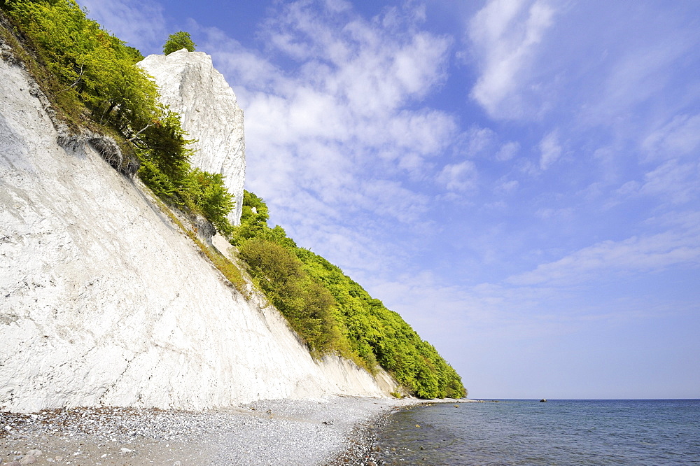 Gravel beach and the famous Koenigsstuhl chalk cliff on the Baltic Sea, Nationalpark Jasmund national park, Ruegen island, Mecklenburg-Western Pomerania, Germany Europe