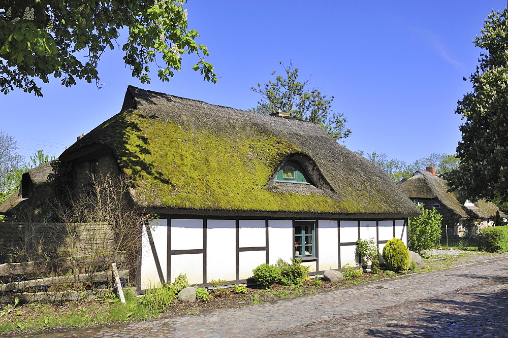 Traditional Low German-built hall house in a village street at Sagard, Ruegen island, Mecklenburg-Western Pomerania, Germany, Europe