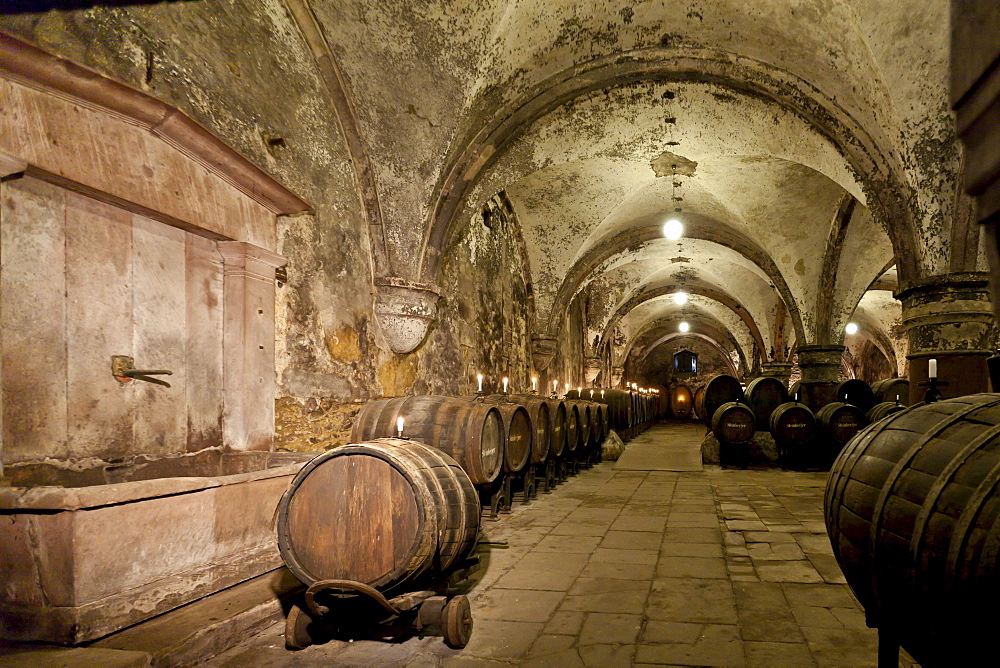 Wine cellar at the Kloster Eberbach Abbey, Eltville am Rhein, Rheingau, Hesse, Germany, Europe