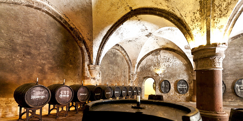 Wine cellar at the Kloster Eberbach Abbey, Eltville am Rhein, Rheingau, Hesse, Germany, Europe