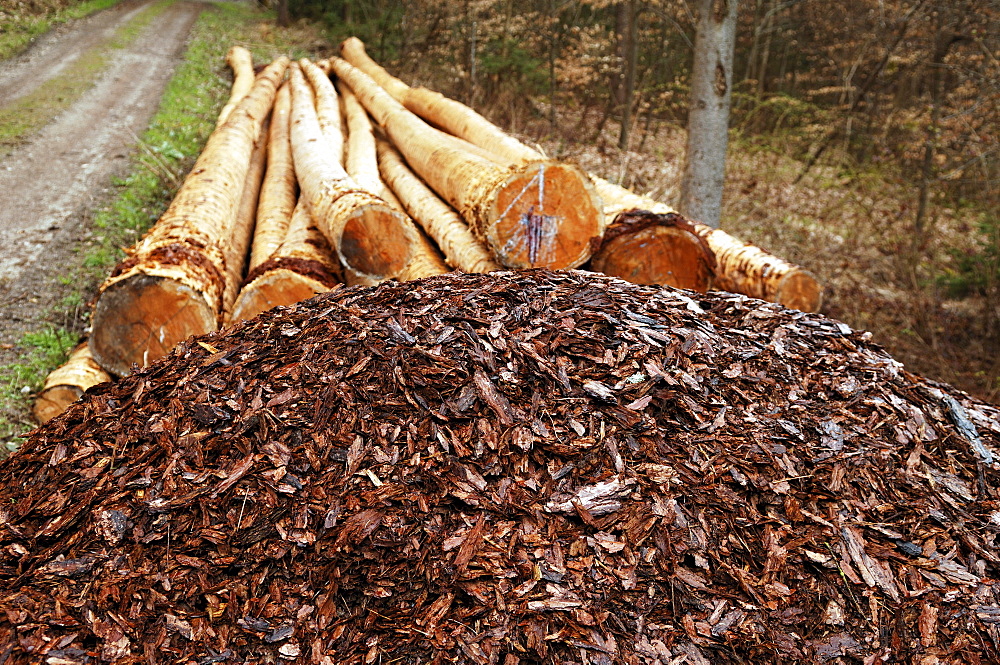 Peeled bark, in the back the peeled spruce logs (Piceoideae) Neunhof, Middle Franconia, Bavaria, Germany, Europe