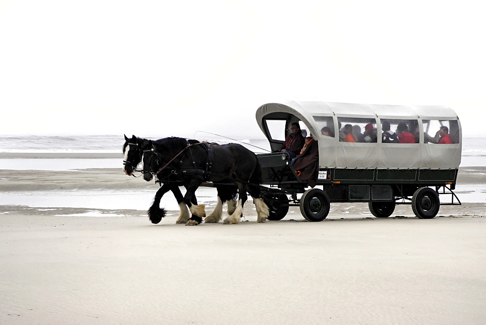 Horse carriage on coastal beach, island of Juist, Lower Saxony, Northern Germany, Europe