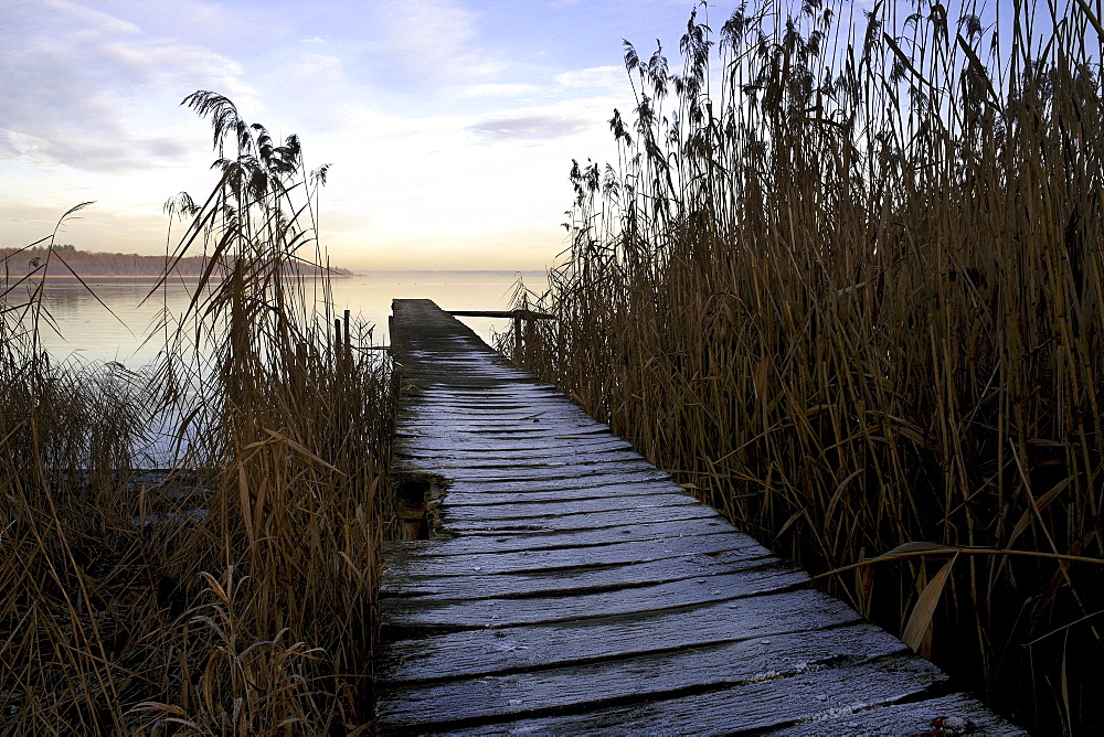 Ice on old wooden jetty, lake Chiemsee, Upper Bavaria, Germany, Europe