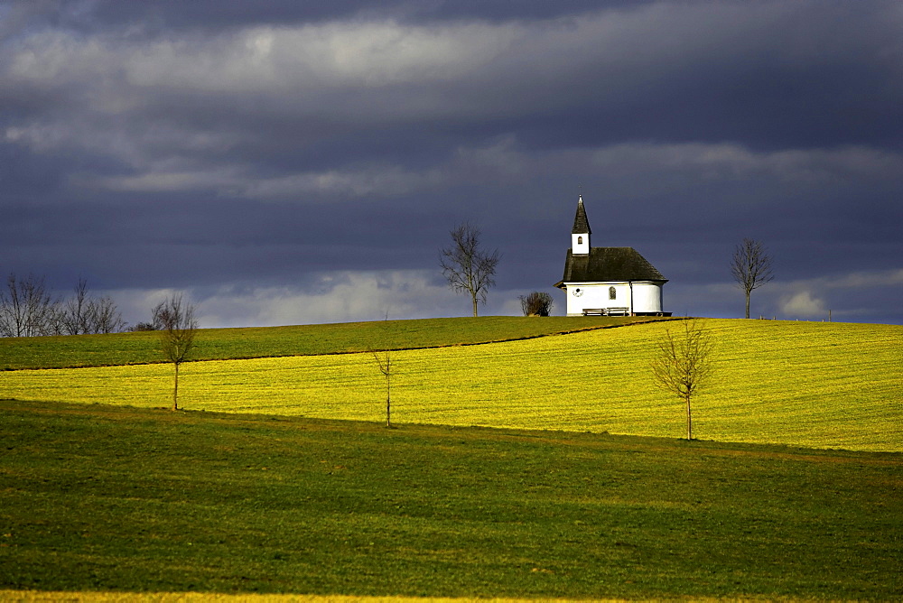 Chapel in landscape, Chiemgau, Upper Bavaria, Germany, Europe