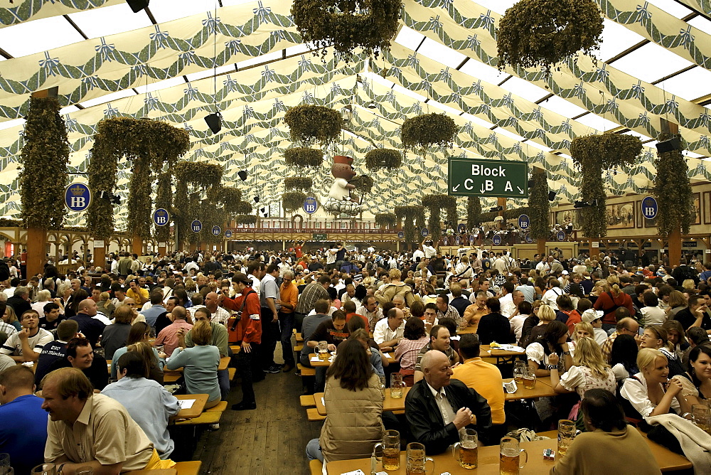 Hofbraeu beer tent, Oktoberfest, Munich, Upper Bavaria, Germany, Europe