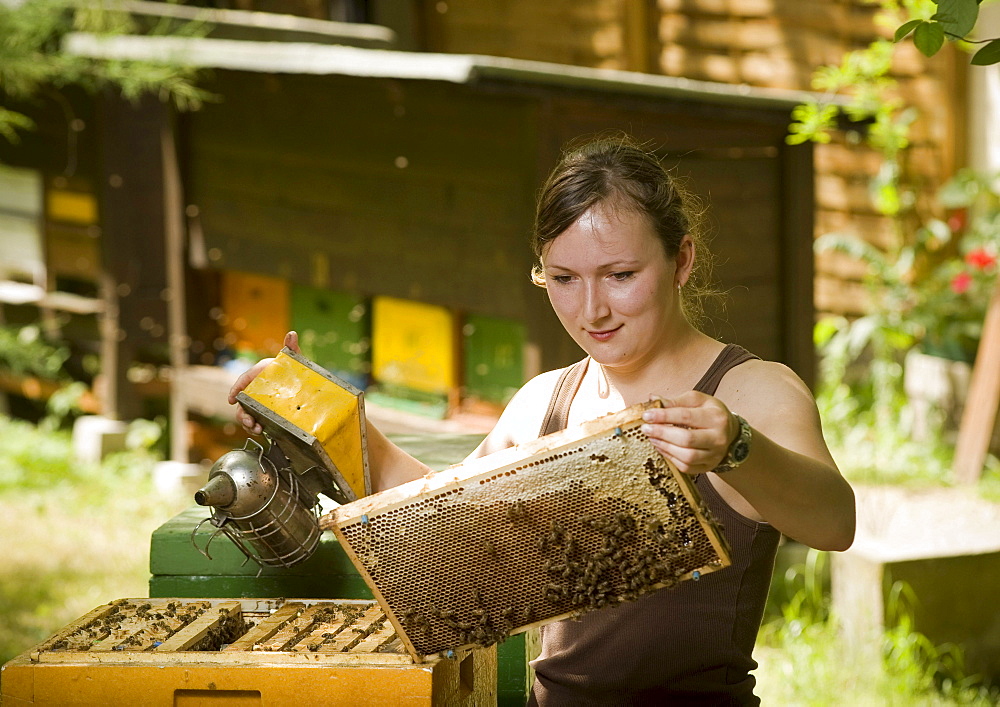 Female apprentice beekeeper and beehive, Berlin, Germany, Europe