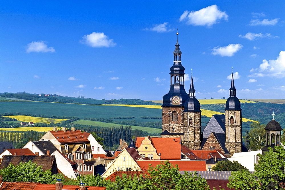 Andreas Church, Lutherstadt Eisleben, Mansfelder Land district, Saxony-Anhalt, Germany, Europe