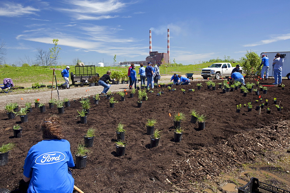 Volunteers from Ford Motor Co. plant an educational garden of native plants at the entry to Humbug Marsh, part of the Detroit River International Wildlife Refuge, at right Detroit Edison's Trenton Channel Power Plant, Trenton, Michigan, USA