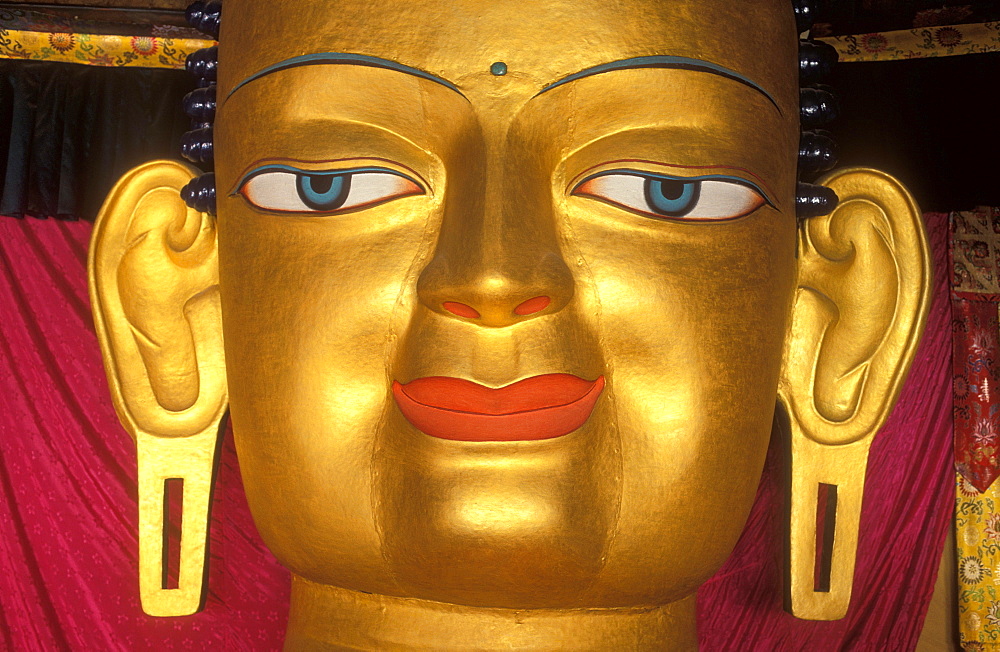 Buddha's eyes, head of the Buddha statue in the royal palace of Shey, Ladakh, Himalaya, northern India, Asia