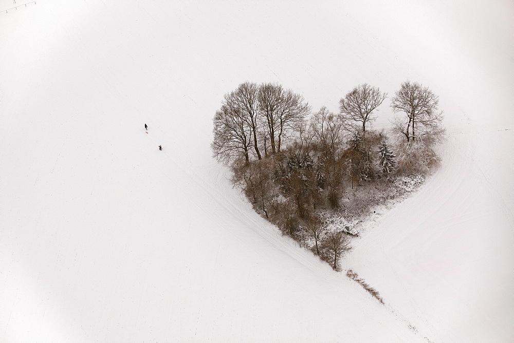 Aerial view, heart-shaped group of trees, snow, Oelmuehlenweg street, Hachhausen, Datteln, Ruhr area, North Rhine-Westphalia, Germany, Europe