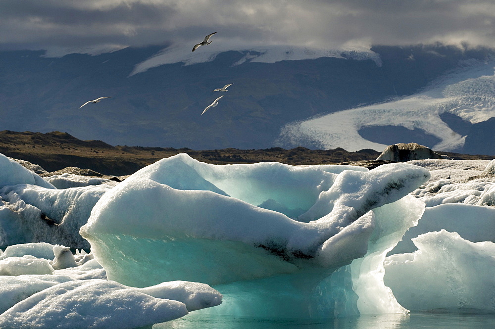 Joekulsarlon, glacial lagoon in southwestern Iceland, Scandinavia, Europe