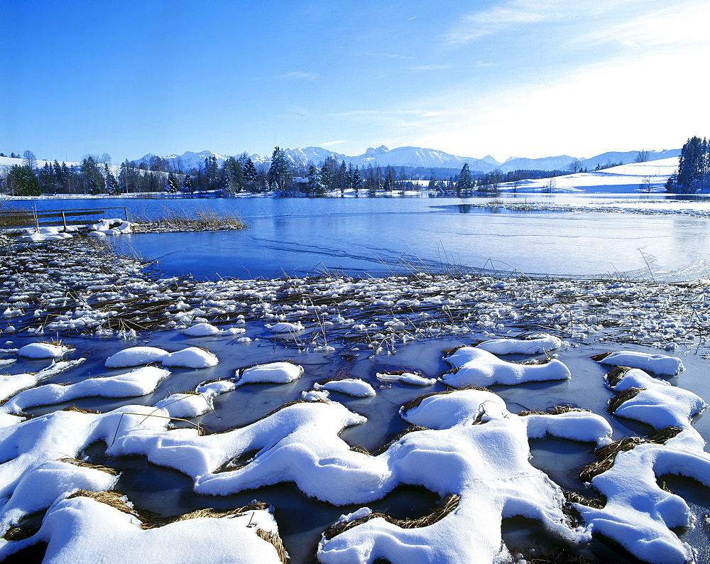 Schwaltenweiher lake, snow, Seeg, Allgaeu, Bavarian Swabia, Bavaria, Germany, Europe