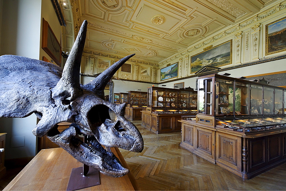 Museum of Natural History, Maria Theresienplatz square, 1st district, Vienna, Austria, Europe