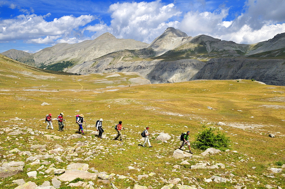 Hiking, trekking group on an alpine meadow near Lacs de Lignin, Haute Verdon Mountains, Alpes-de-Haute-Provence, France, Europe