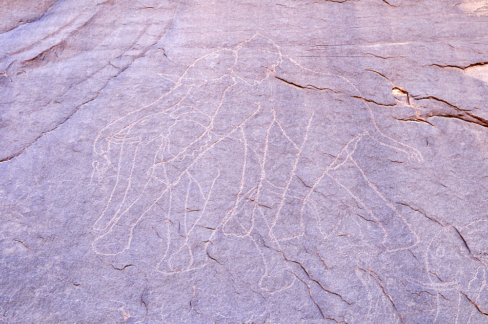 Neolithic rock art, elephant engraving, of the Tadrart, Tassili n'Ajjer National Park, Unesco World Heritage Site, Algeria, Sahara, North Africa