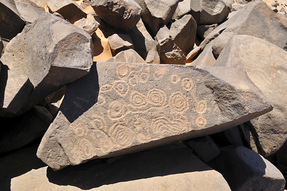 Neolithic rock art, bull engraving, of the Tadrart, Tassili n'Ajjer National Park, Unesco World Heritage Site, Algeria, Sahara, North Africa