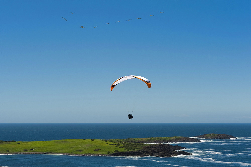 Paragliding, tandem flight over the sea, island, Hill 60, East Coast, Australia