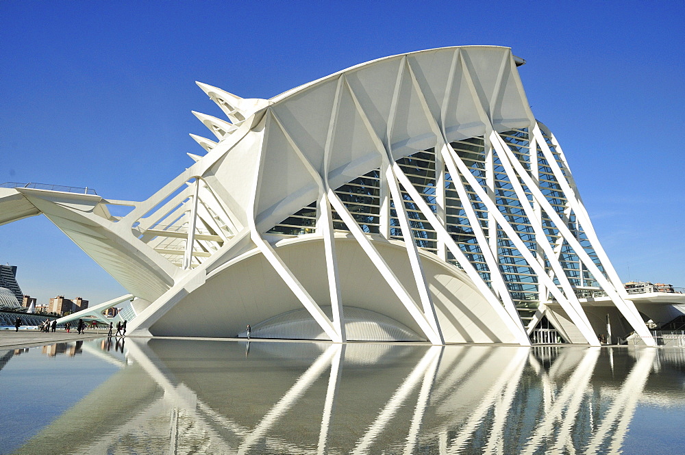 Museo de las Ciencias Principe Filipe in the Ciudad de las Artes y las Ciencias, City of Arts and Sciences, designed by Spanish architect Santiago Calatrava, Valencia, Comunidad Valenciana, Spain, Europe