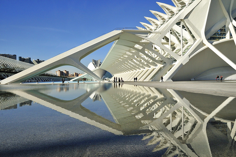 Museo de las Ciencias Principe Filipe in the Ciudad de las Artes y las Ciencias, City of Arts and Sciences, designed by Spanish architect Santiago Calatrava, Valencia, Comunidad Valenciana, Spain, Europe