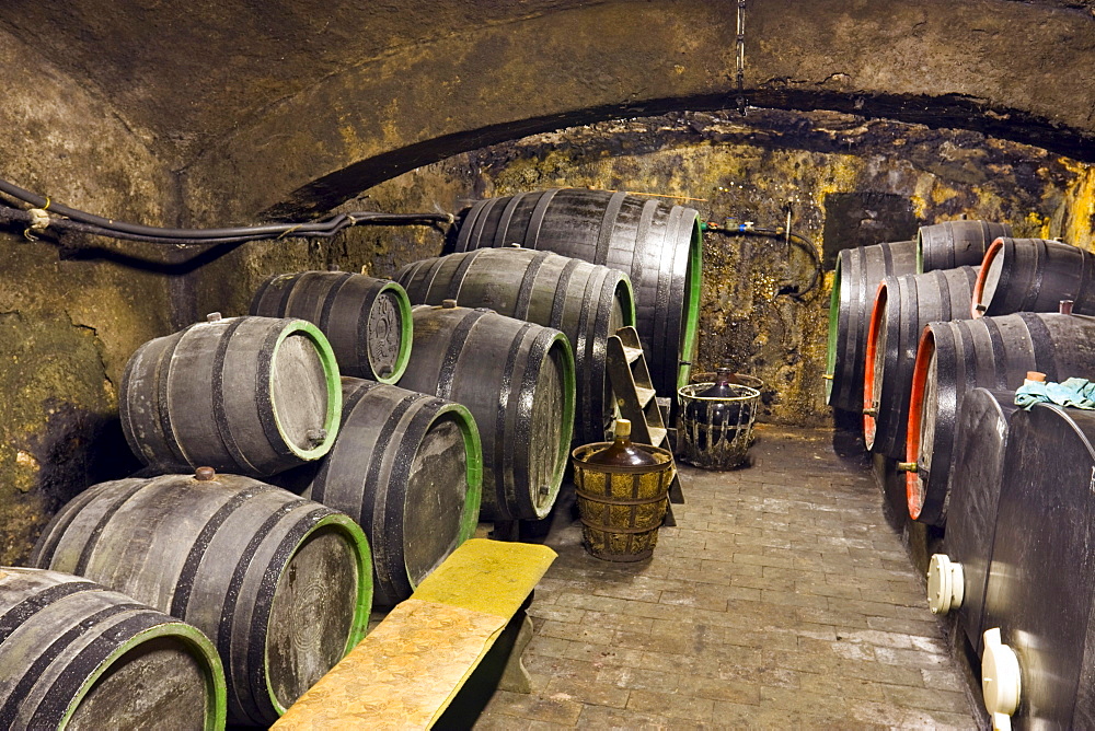 Wine cellar, Rakvice, Breclav district, South Moravia region, Czech Republic, Europe