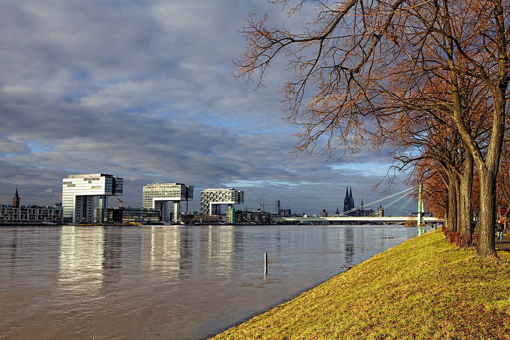 View over the polder meadows on the left bank of the Rhine River and the Kranhaus buildings at the Rheinauhafen harbour during high water, Rhine River, Cologne, North Rhine-Westphalia, Germany, Europe