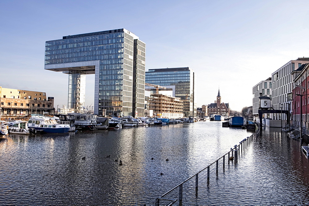 Rhine River during high water, Kranhaus buildings on the Rheinauhafen harbour, Cologne, North Rhine-Westphalia, Germany, Europe