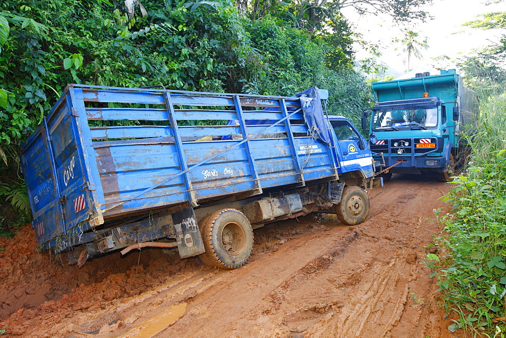 Truck being towed out of the mud by another truck, jungle trail, Bamenda, Cameroon, Africa