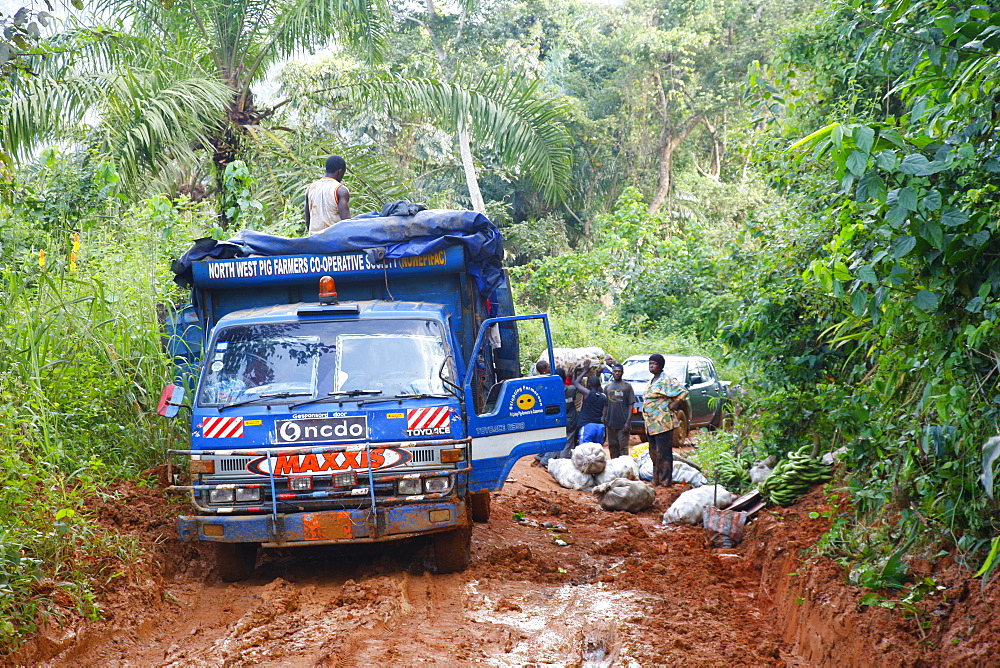 Truck stuck in the mud, jungle trail, Bamenda, Cameroon, Africa