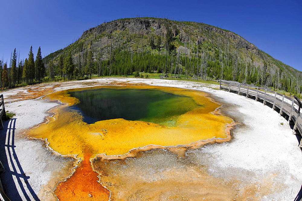 Emerald Pool, geyser, outlet area, colourful thermophilic bacteria, microorganisms, boardwalk, Black Sand Basin, Upper Geyser Basin, Yellowstone National Park, Wyoming, United States of America, USA