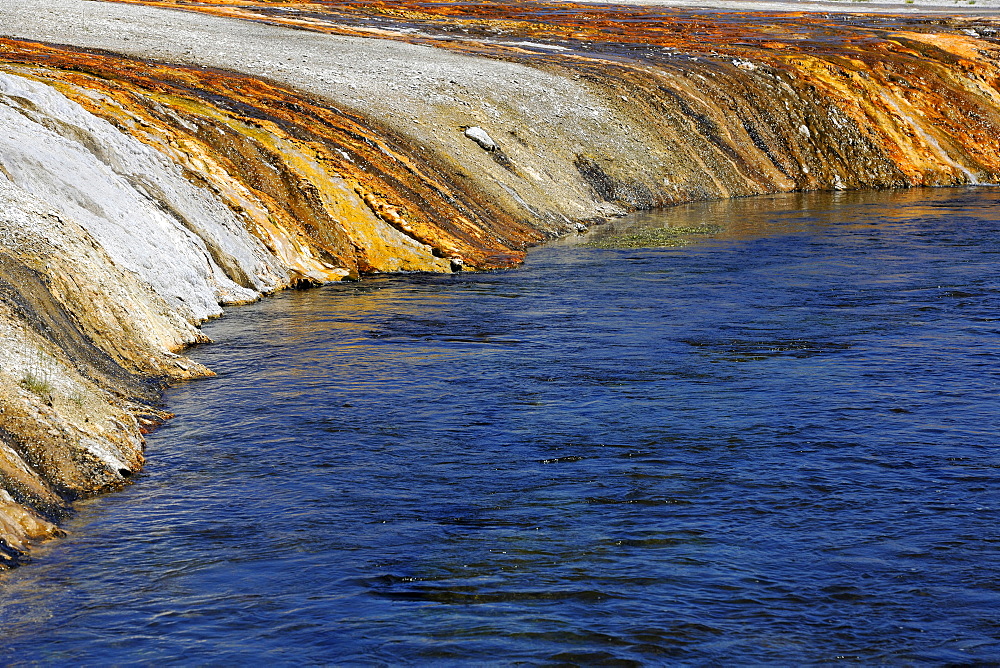 Colored thermophilic bacteria, outlet of the Cliff Geyser, Firehole River, Black Sand Basin, Upper Geyser Basin, Yellowstone National Park, Wyoming, United States of America, USA