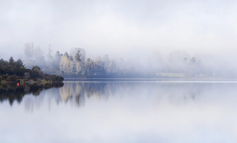 Fog on the banks of Lake Te Anau, Fiordland, South Island, New Zealand