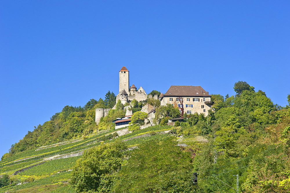 Burg Hornberg castle, Neckarzimmern, Neckartal, Baden-Wuerttemberg, Germany, Europe