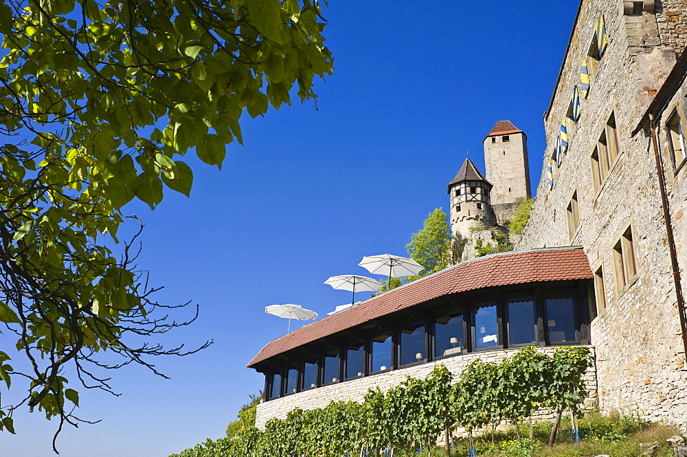 Burg Hornberg castle, Neckarzimmern, Neckartal, Baden-Wuerttemberg, Germany, Europe