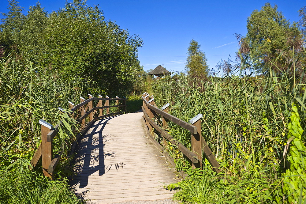 Source of the Neckar, Schwenninger Moos marsh, nature reserve, Villingen-Schwenningen, Black Forest, Baden-Wuerttemberg, Germany, Europe