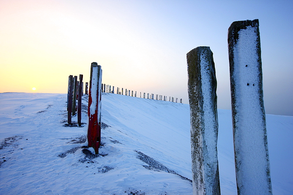 "Totems" landmark art installation created from more than 100 processed railway sleepers by Basque painter and sculptor Agustin Ibarrola, situated on snow-covered mining waste heap Halde Haniel above the pit Prosper-Haniel in winter, Bottrop, North Rhine-