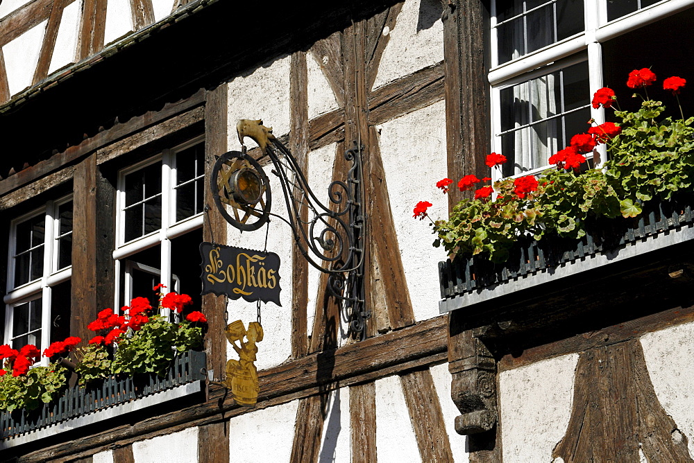 Half-timbered building detail, windows and flowers, Strasbourg, Alsace, France, Europe