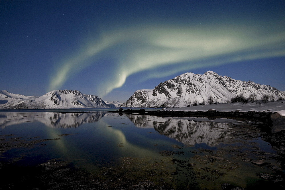 Northern Lights (Aurora borealis), Lofoten, Nordland, Norway, Europe