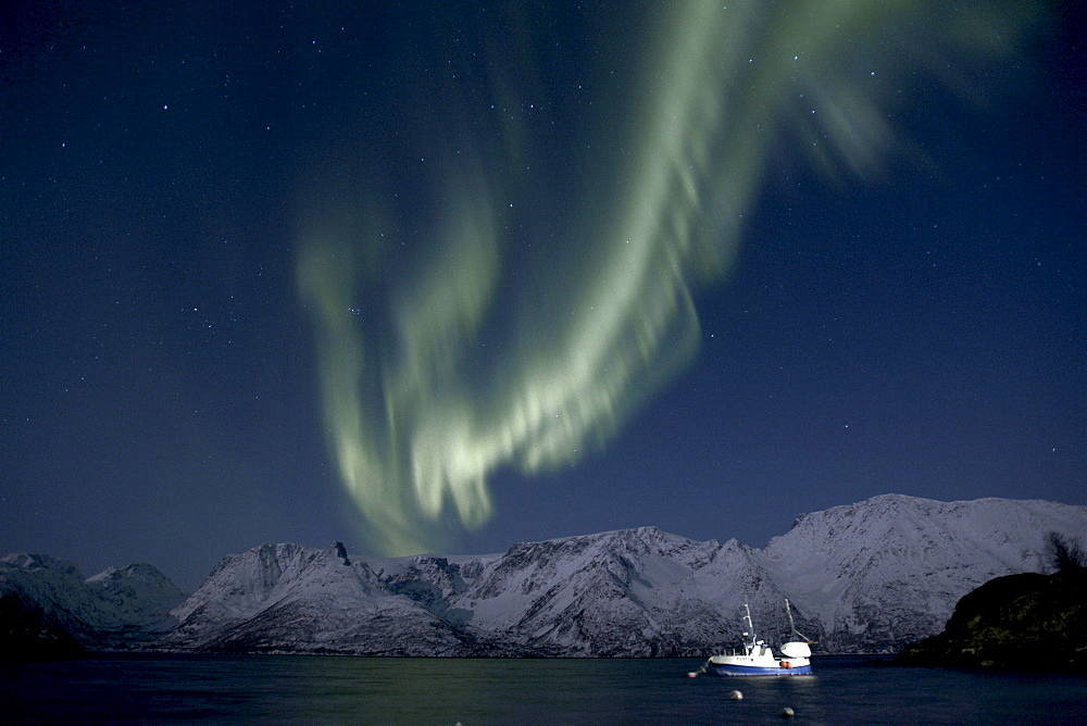 Polar lights (Aurora borealis), above the Oksfjorden, Fruvik, Oksfjord, Loppa, Finnmark, Norway, Europe